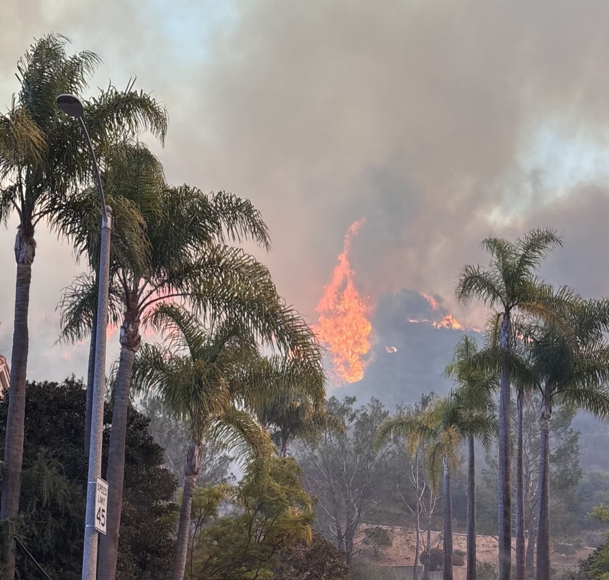 The Palisades Fire burning along Palisades Drive on January 7, 2025